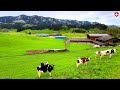 🇨🇭 Switzerland's Most Beautiful Region: Entlebuch Biosphere a UNESCO World Heritage Site | #swiss