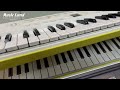 Đàn Organ Casio SA 80 & SA 81 Chính Hãng
