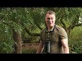 Tawny Owl Chicks Flourish Against All Odds  | Full Story | Bonnie & Ozzy | Robert E Fuller