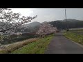 Sakura ride 2021/3