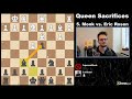 Chess Robots Sacrificing Their Queen
