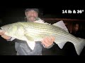 SURF FISHING for STRIPED BASS in Massachusetts Day (Mackerel) and Night (Eels)