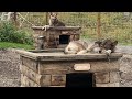 Overland Adventure; Denali National Park Alaska, Sled dog kennels.