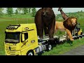 Transportıng Giant Animals (Bear, Graffe, Lion) to Selling w Truck. Farming Simulator 22