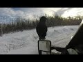 Strange sound of a Raven