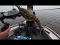 Exploring the Clarence River. Mulloway and Monster Flathead. Ft HarmoFishing