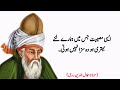 Moulana Rumi Quotes on Life, Love, and Everything in Between️❤ | 24 Golden Sayings by Mulana Rumi