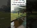 O sol voltou pra ajudar na secagem de tudo , e dar um alento para nós .