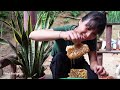 6 Days HARVEST HONEY, Papaya, Bamboo Shoots and GARDENING | Ana Bushcraft