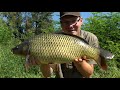 Do carp prefer bolies or corn? Underwater carpfishing video