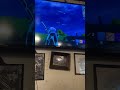 Fortnite gameplay