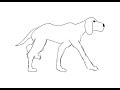 Dog Walk Cycle (traditional animation)