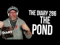 Diary 286: The Pond