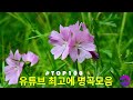 일할때 듣기좋은 발라드 추천 광고없는 노래모음💖유튜브 베스트곡 BEST 100 ✨김범수/ 임창정/ 박효신/성시경/ 백지영/ 더원/태연/박명수/에일리/찬열/ 펀치/ 다비치/