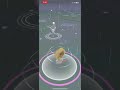 Tutorial on how to get Meltan