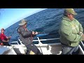 Yankee Fleet - Pollock Fishing Mate's POV