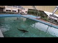 むろと廃校水族館　プールにて