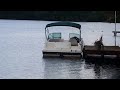 CJ & Lyn - AirBoat - 2016