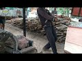 Sawmilling Huge and Hollow Albasia Wood