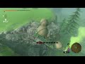 Korok abuse fail