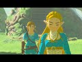 The Medical Condition of the Hero of Hyrule - Zelda BotW Theory