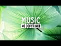 Olif - Days Like This (Vlog No Copyright Music) background music,free music,no copyright music