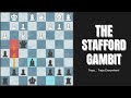 WIN FAST: Stafford Gambit (13 Traps)