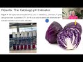 Development of a plant-based versatile culture medium, using Cabbage.