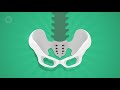 Biomedical & Industrial Engineering: Crash Course Engineering #6