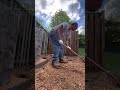Removing a tree stump