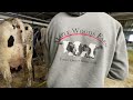 Maple Woods Dairy Farm S1E1 Morning milking