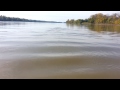 Big fish in Missouri river