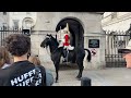 Royal Horse Freaks Out, Desperate to Reunite - Dramatic Moment!