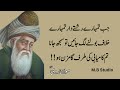 مولانا رومیؒJab Tumhare Rishtedaar Tumhare Khilaf Bolne Lageen  ll Maulana    Rumi Quotes in Urdu