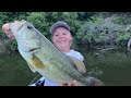 Big Bass Fishing! Catch, Clean, and Cook!