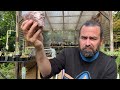 Mineral mixology: how to make the perfect mineral soil for cacti and succulents