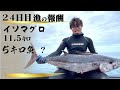 [No. 22] Catching a Monstrous Tuna While Free-diving Results in...