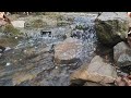 Calming Mountain Stream - Nature