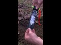 DIY Survival Lighter