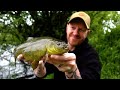 TENCH FISHING  - TIPS  - Rigs Tactics