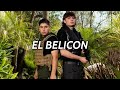 Peso Pluma Ft Raul Vega - El Belicon (Corridos 2022)