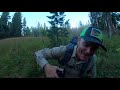 Wildlife Photography With A Great Gray Owl In The Tetons