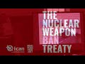 'The Nuclear Ban Treaty', Rebecca Johnson, ICAN