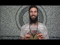 I drank Ayahuasca with Maneesh de Moor!