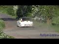 Sulingen Rallye 2024 / MISTAKES, DRFITS + FLAT OUT