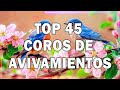 COROS VIEJITOS PERO BONITOS ~ COROS PENTECOSTALES ~ MAS DE 100 COROS AVIVAMIENTO PENTECOSTAL