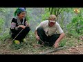 Two sisters build a wooden house - stream fishing trap for cooking - Bếp Trên Bản
