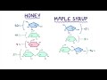 Biochemistry 101: Carbohydrates (Lecture 6 of 12)