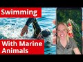 Best way to #swim with marine animals in open water!