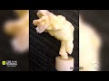 3D Printed Vocal Cords
